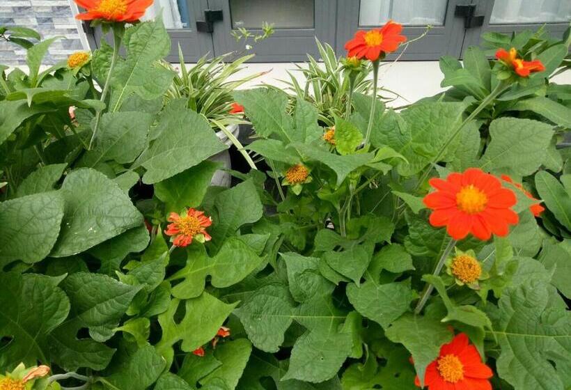 اتاق استاندارد با بالکن, Cherry Garden Homestay