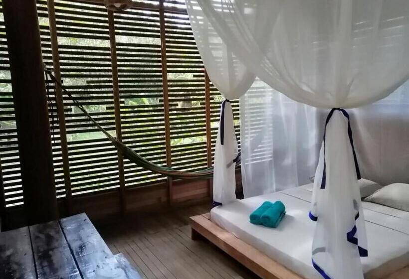 Chambre Standard, Palmayacu   Refugio Amazónico