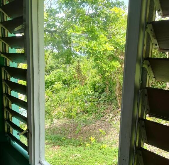 اتاق استاندارد با تخت بزرگ, Toga Guest House