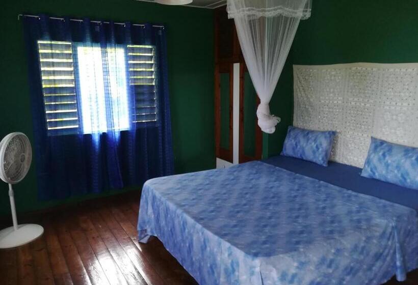 اتاق استاندارد با تخت بزرگ, Toga Guest House