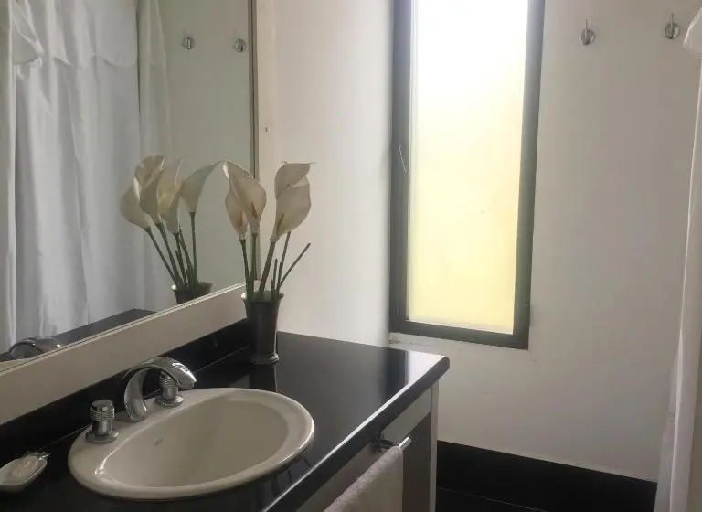 プールの見える１ベッドルームアパートメント, San Isidro