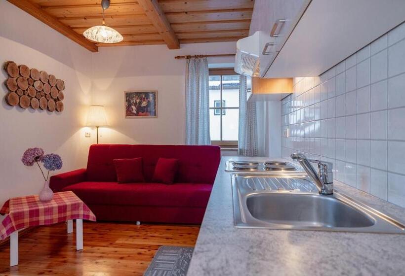 Апартаменты 1 Спальня Вид на Сад, Schullerhof
