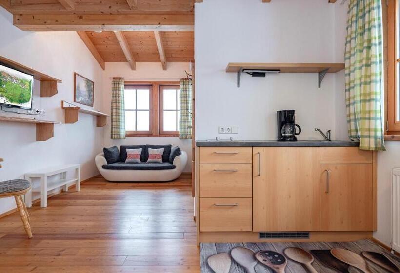 Апартаменты 1 Спальня, Schullerhof