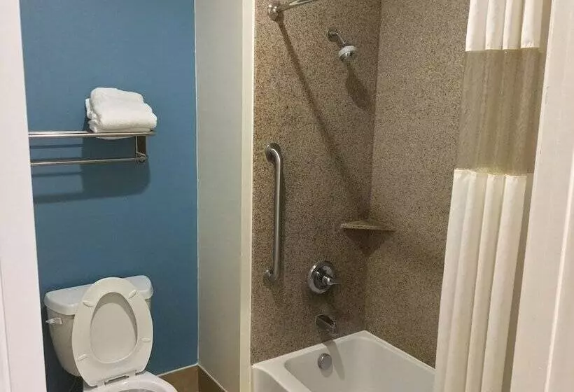 اتاق استاندارد با 2 تخت دوبل, Days Inn By Wyndham Humble/houston Intercontinental Airport