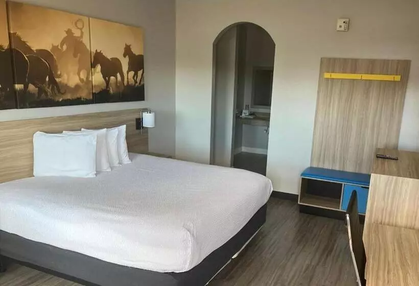 اتاق استاندارد با تخت بزرگ, Days Inn By Wyndham Humble/houston Intercontinental Airport