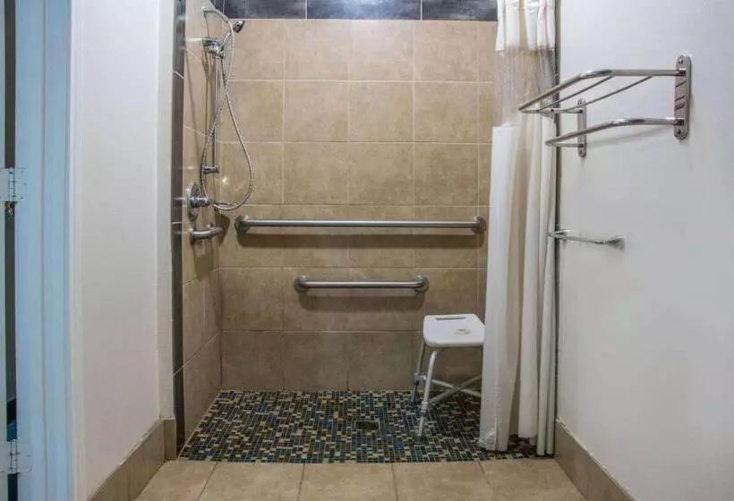 اتاق استاندارد با تخت بزرگ برای معلولان, Days Inn By Wyndham Humble/houston Intercontinental Airport