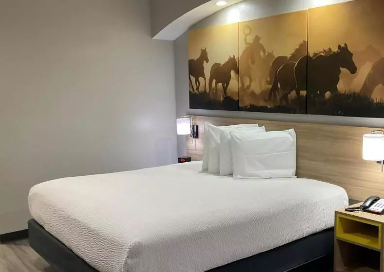 اتاق استاندارد با تخت بزرگ برای معلولان, Days Inn By Wyndham Humble/houston Intercontinental Airport