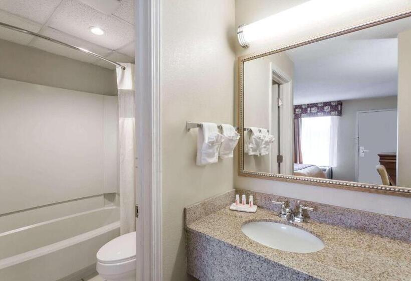 Люкс Deluxe Кровать Кинг, Days Inn By Wyndham Orangeburg