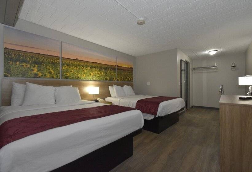 带2个双人床的标准工作室, Days Inn By Wyndham West Allis/milwaukee