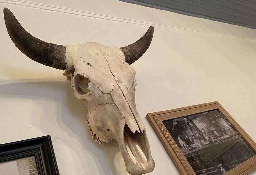 Studio Deluxe, Painted Lady Bed & Brew