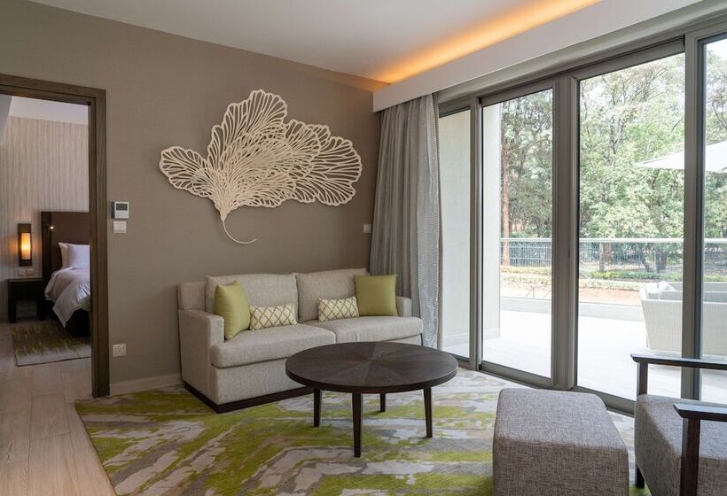 수피리어 룸 풀장 전망, Radisson Blu Hotel & Residence Nairobi Arboretum