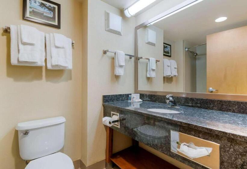 Quarto Estandar, Comfort Inn Mechanicsburg  Harrisburg South