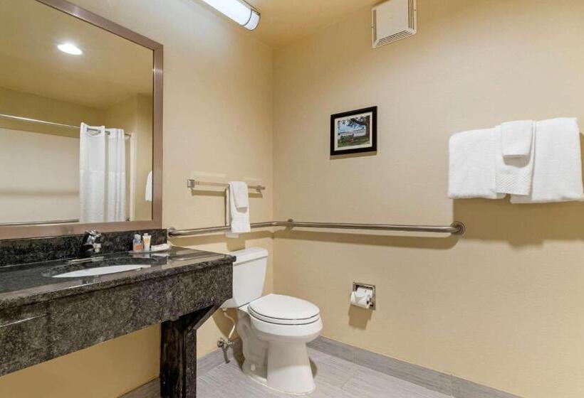 Quarto Estandar Cama King para Deficientes Físicos, Comfort Inn Mechanicsburg  Harrisburg South