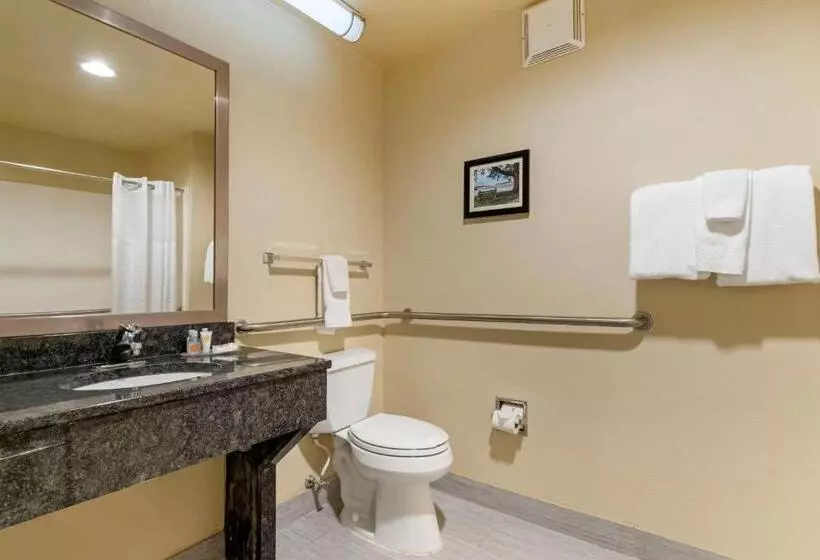 身障者適用キングサイズベッドルーム, Comfort Inn Mechanicsburg  Harrisburg South