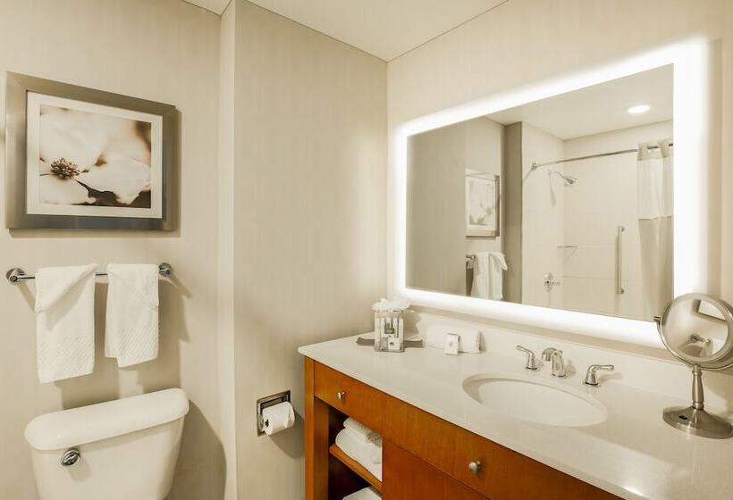 غرفه قياسيه سريرين مزدوجين, Doubletree By Hilton Atlanta Airport