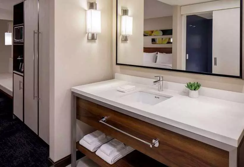 シティビュースイート, Hilton Chicago/magnificent Mile Suites