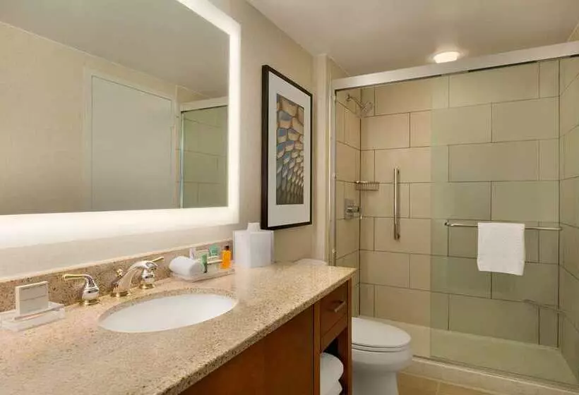 スーペリアースイート, Hilton Chicago/magnificent Mile Suites