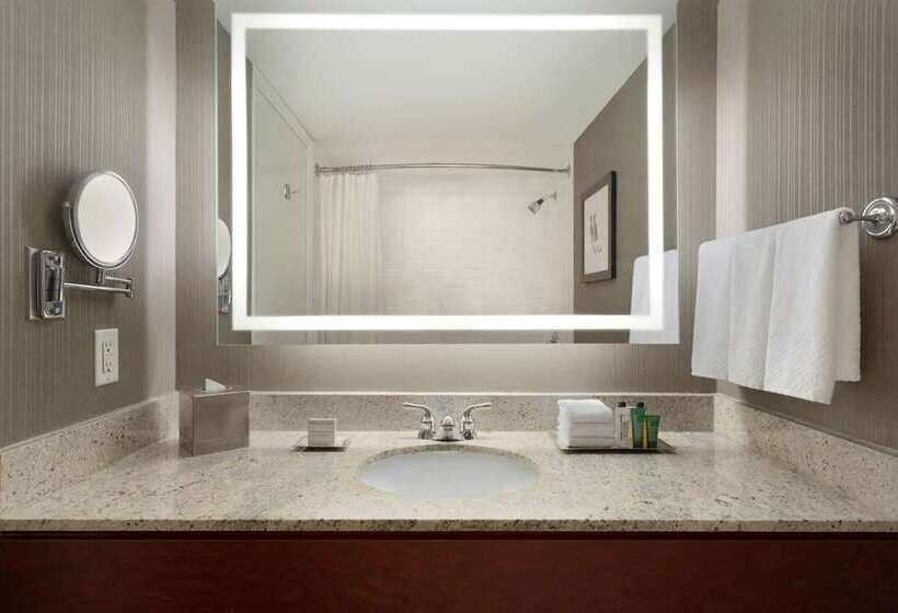 سوئیت با تخت بزرگ, Hilton Chicago/magnificent Mile Suites