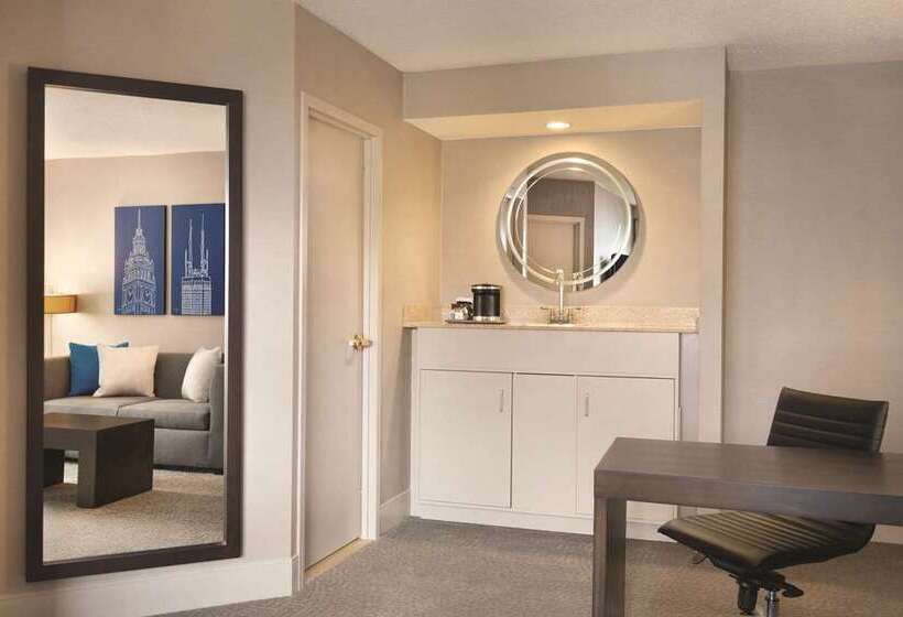 سوئیت با تخت بزرگ, Hilton Chicago/magnificent Mile Suites