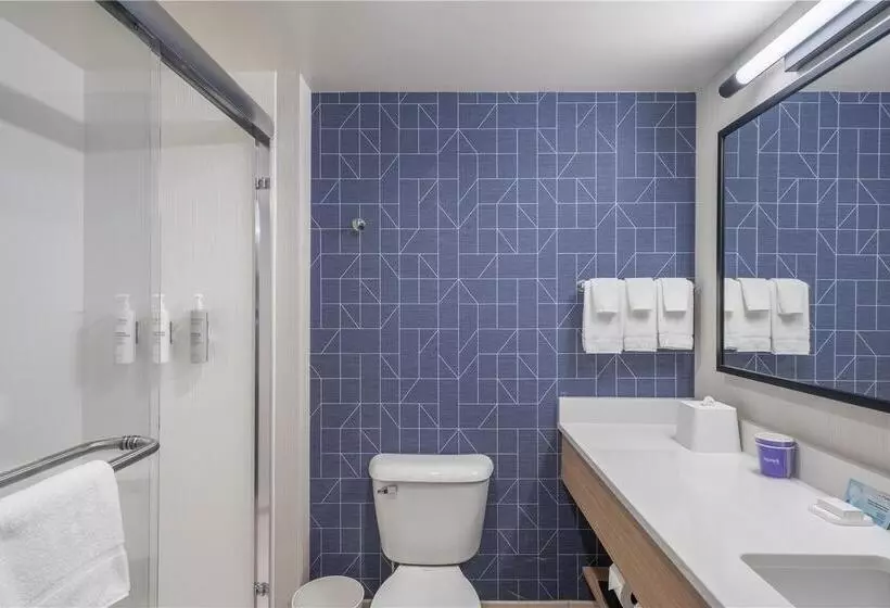 スイート, Hilton Chicago/magnificent Mile Suites