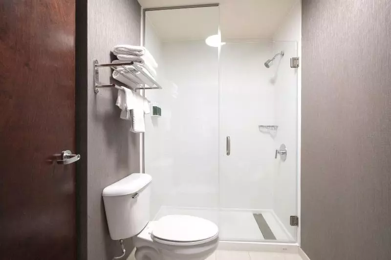 キングサイドベッドのスタンダードワンルーム, Springhill Suites By Marriott Savannah I 95 South