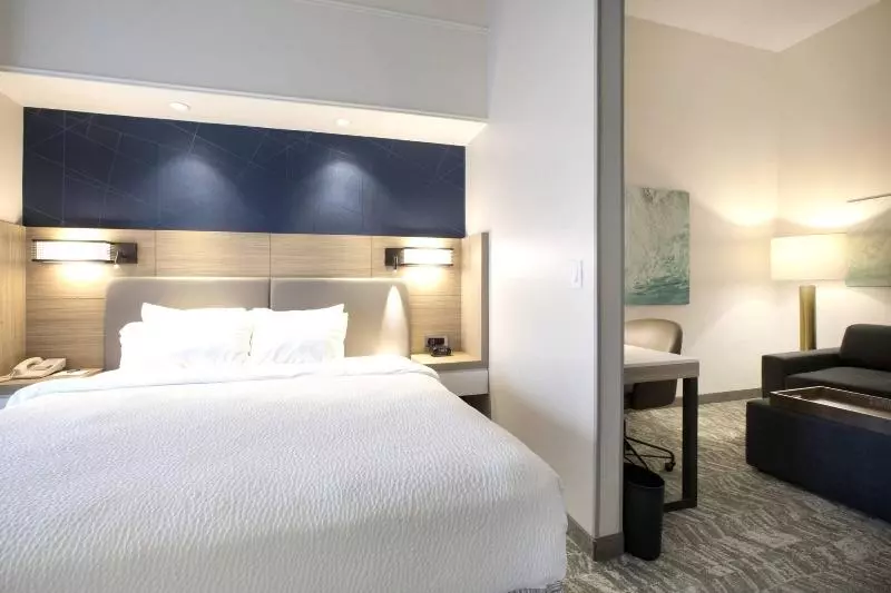 キングサイドベッドのスタンダードワンルーム, Springhill Suites By Marriott Savannah I 95 South