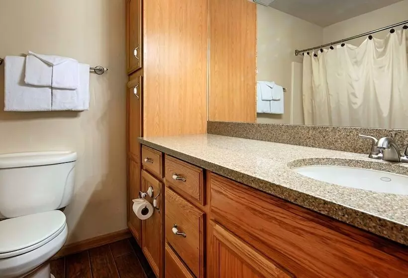 اتاق استاندارد با چشم‌انداز دریاچه, Donner Lake Village