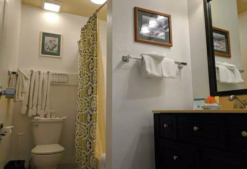 اتاق استاندارد با چشم‌انداز دریاچه, Donner Lake Village