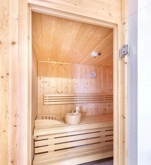 3 Bedroom Premium Apartment, Alpenrock Schladming By Alps Resorts