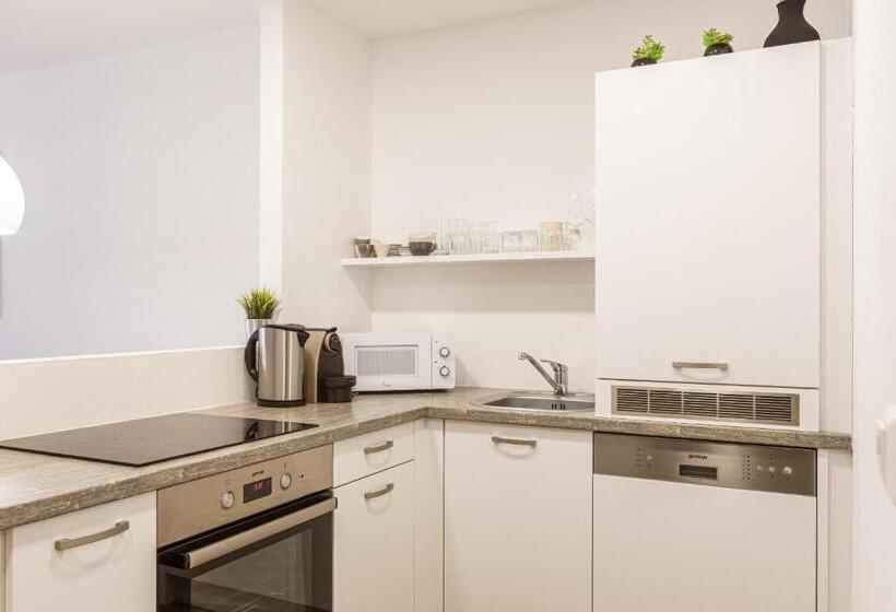 آپارتمان 1 خوابه با چشم‌انداز, Alpenrock Schladming By Alps Resorts