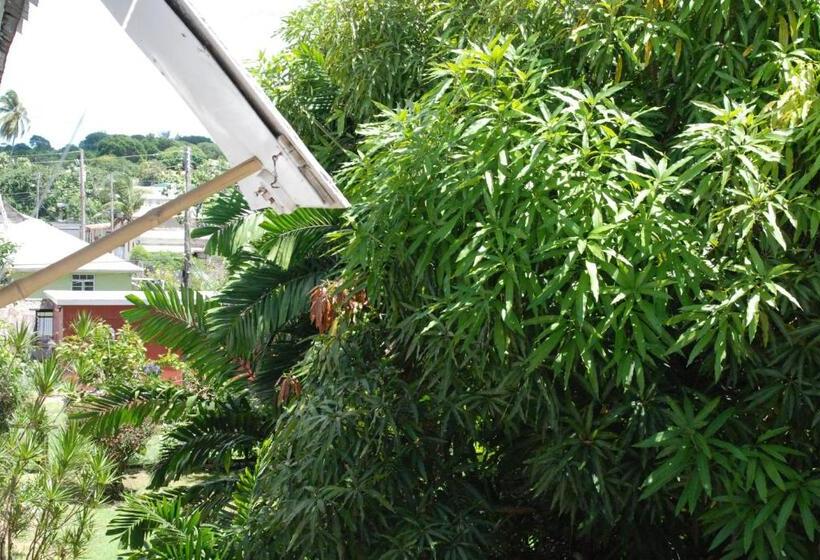 اتاق استاندارد, Charming Old World Apartment