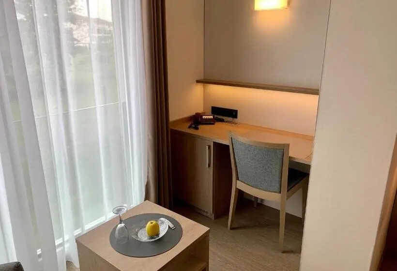 Standard Yhden Hengen Huone, Thermalhotel Kemper