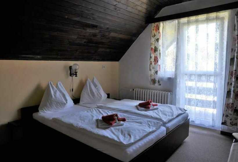 Standard Szoba, Horský Hotel Hanička