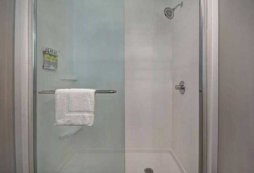 适合残疾人士使用的套间, Holiday Inn Express & Suites   Galveston Beach, An Ihg