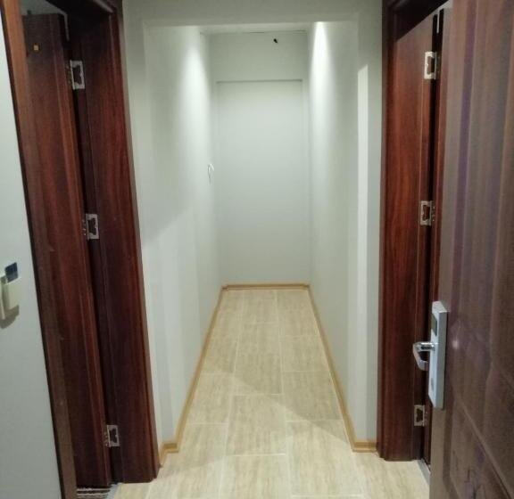 家庭工作室, Alya Suite