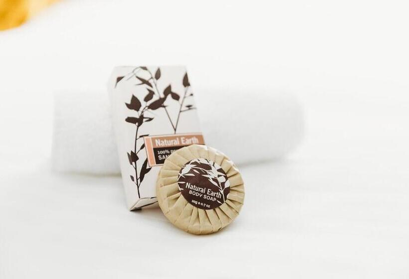 适合残疾人士使用的带超级大床的标准间, Coniston Hotel Wollongong