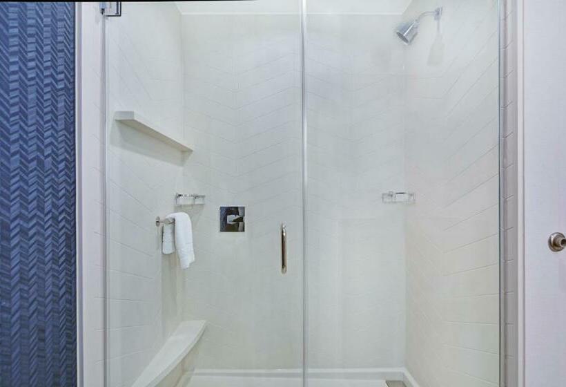 带大床的标准间, Fairfield Inn & Suites By Marriott Houston Nasa/webster