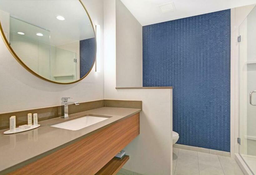 带大床的套房, Fairfield Inn & Suites By Marriott Houston Nasa/webster