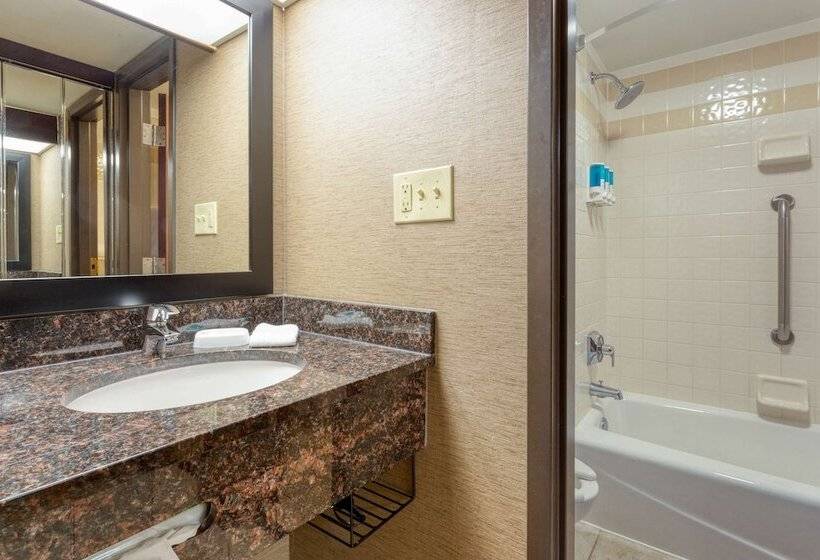 デラックスルーム, Drury Inn & Suites Atlanta Airport
