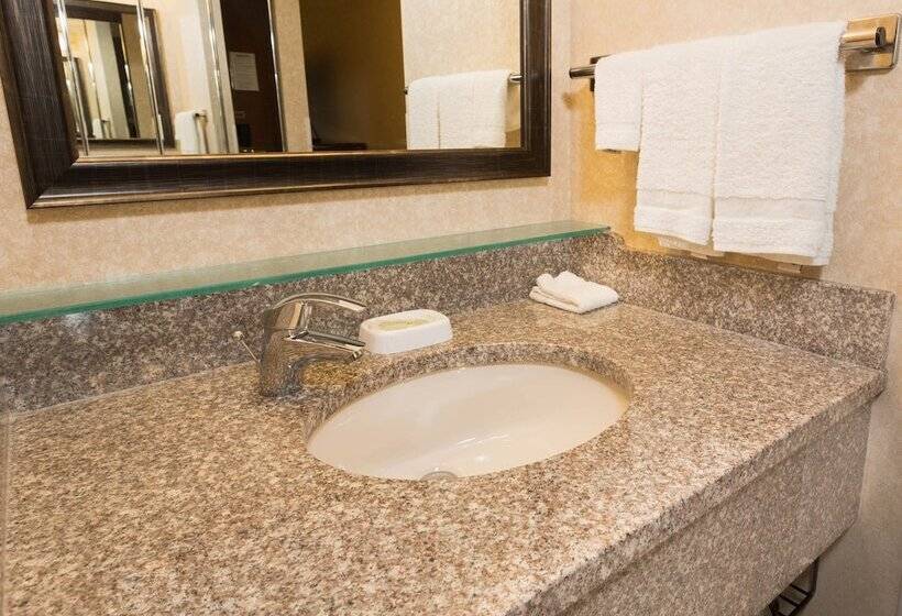 quarto Deluxe Adaptado para Deficientes Físicos, Drury Inn & Suites Atlanta Airport