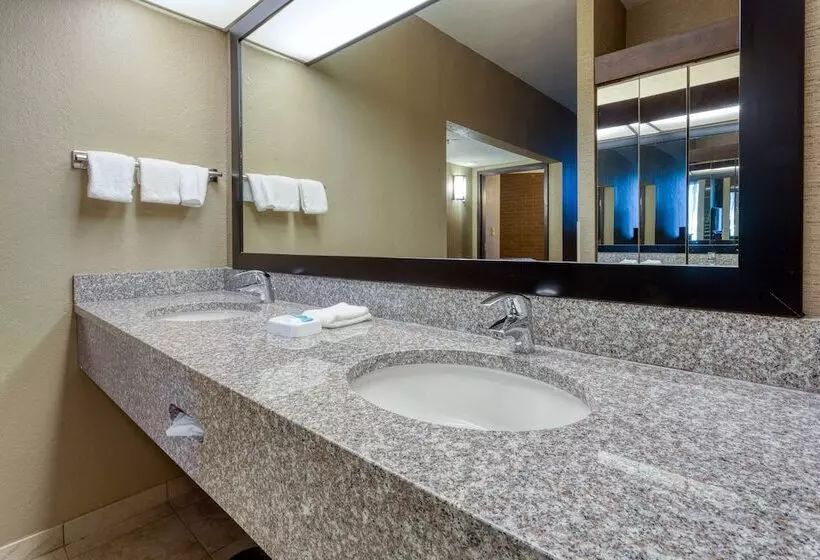 اتاق دلوکس مخصوص معلولین, Drury Inn & Suites Atlanta Airport