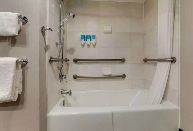 障害者適応デラックスルーム, Drury Inn & Suites St. Joseph