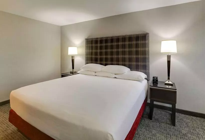 障害者適応デラックスルーム, Drury Inn & Suites St. Joseph
