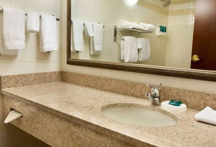デラックスルーム, Drury Inn & Suites St. Louis Creve Coeur