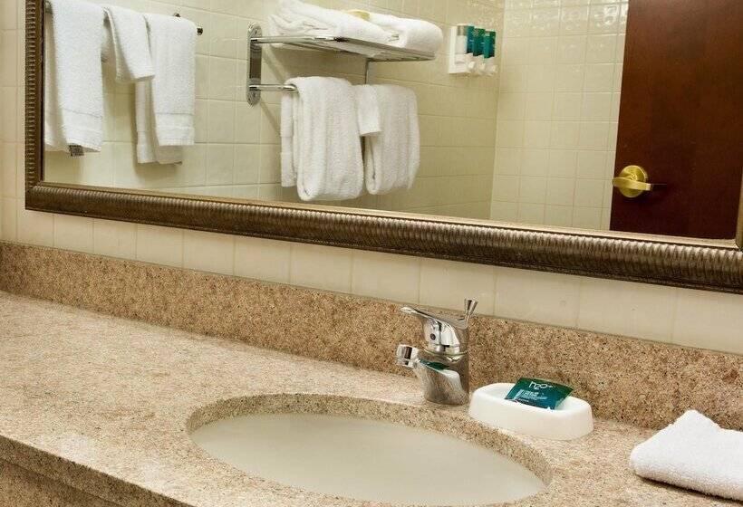 غرفة ديلوكس لذوى الاحتياجات الخاصة, Drury Inn & Suites St. Louis Creve Coeur