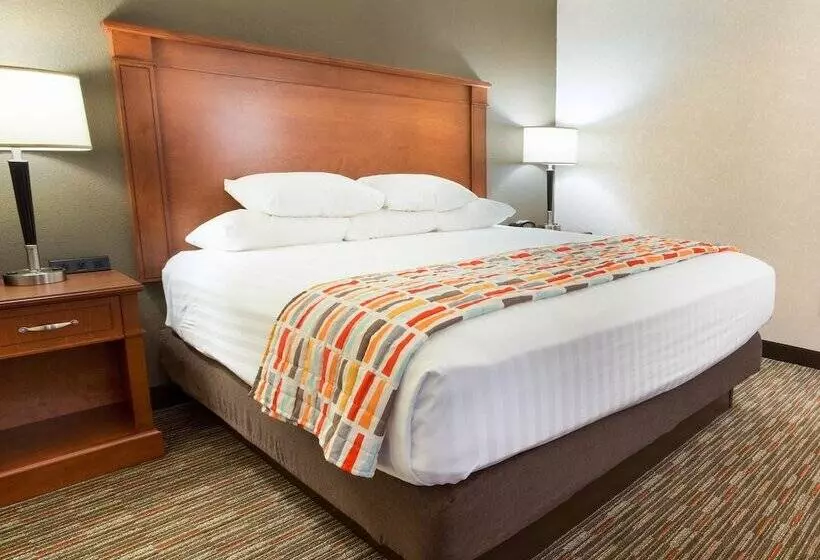 障害者適応デラックスルーム, Drury Inn & Suites St. Louis Creve Coeur