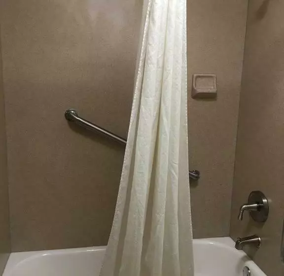 ２ダブルベッドのスタンダードルーム, Econo Lodge Marion I 81