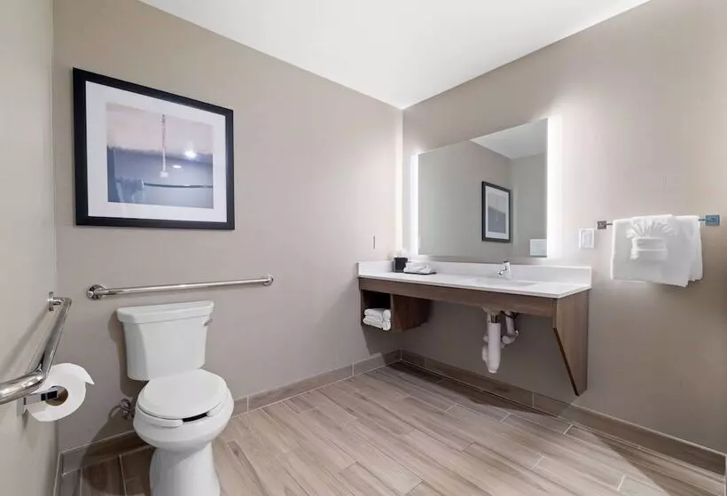 身障者適用スイートルーム, La Quinta Inn & Suites By Wyndham Santa Cruz