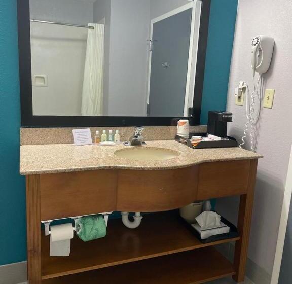 스탠다드 룸 킹사이즈 침대, Quality Inn & Suites