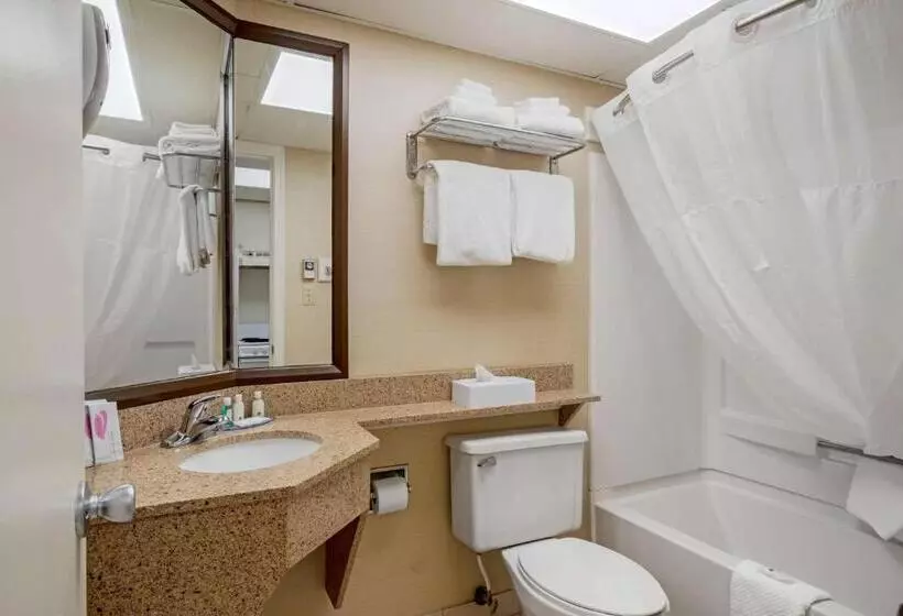 スタンダードルーム, Quality Inn & Suites Ocean City Fenwick